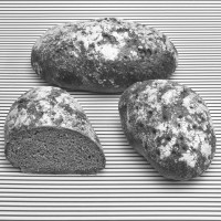 Feines Vollkornbrot